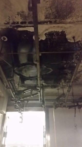 Brand in Fleischerei (Bild 3)